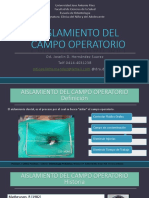 Clase 1 Aislamiento Del Campo Operatorio PDF