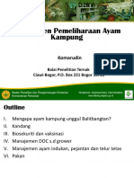 Manajemen Pemeliharaan Ayam Kampung PDF