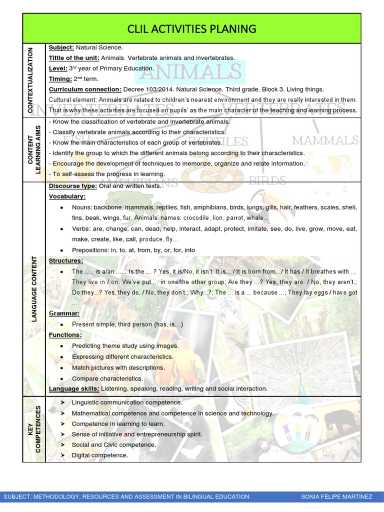 Clil Activities Planing-1 | Download Free PDF | Vertebrates | Information