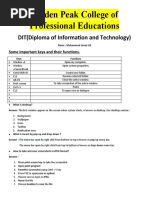 Golden Peak College of Professional Educations: DIT (Diploma of Information and Technology)