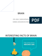 Brain: DR Anil Sabharwal Mbbs - MD (Medicine)
