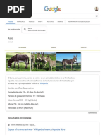 Burro - Buscar Con Google