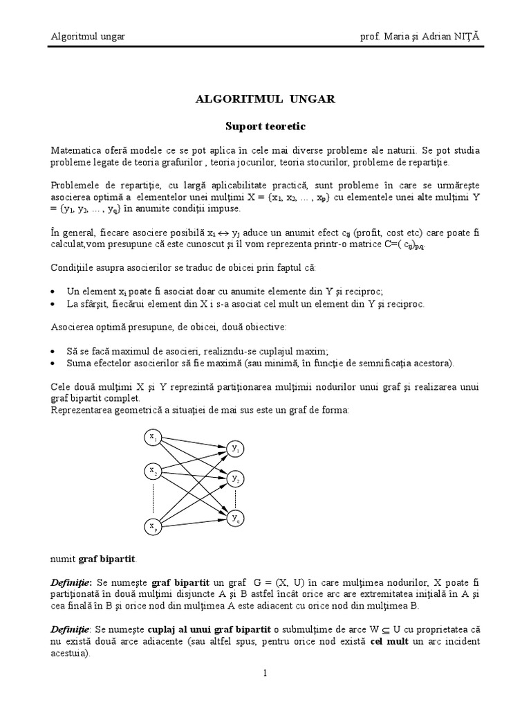 Algoritmul Ungar | PDF