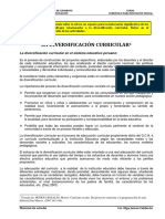 Diversificación Curricular PDF