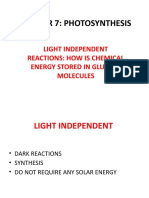 Chapter 7: Photosynthesis: Light Independent Reactions: How Is Chemical Energy Stored in Glucose Molecules