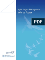 White Paper: Agile Project Management