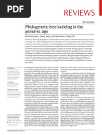 Building Phylogenetic Tree in Genomic Era