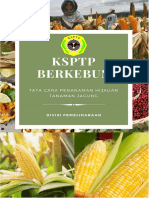 KSPTP Berkebun - Tata Cara Penanaman Hijauan Tanaman Jagung