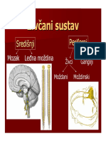 Zivcani Sustav PDF