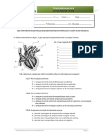 Teste 3 - circulatorio.pdf