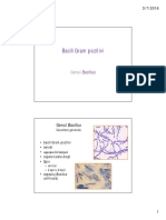 BGP Bacillus Curs PDF