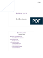 BGP Corynebacterium Curs PDF