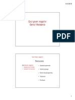 Coci Gram Negativi Curs PDF