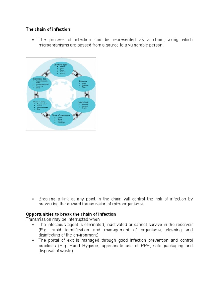 The Chain of Infection | PDF