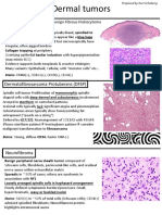 Dermal tumors and tumor-like lesions identification guide