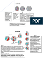 Mitosis y Meiosis