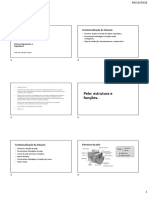 Estrutura e funções da pele