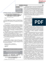 Rpe 035-2020-Sanipes PDF