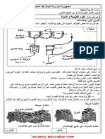Dzexams 1as Sciences TCST - d1 20201 924634 PDF