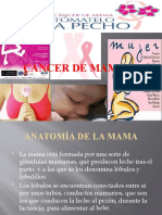 Cancer de Mama