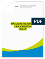 Caracterización de La Región Puno 2018 Sineace PDF