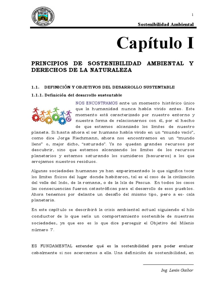 Principios de Sostenibilidad Ambiental | PDF | Desarrollo sostenible ...