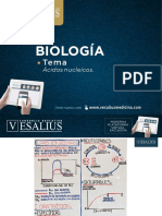 BIOLOGÍA_TEMA 6_TRIMESTRAL