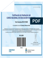 Curso - Finalizado - Primera Vez Auto - 31016520 PDF