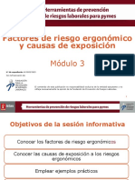 Factores DE Riesgos Y Causas.pdf