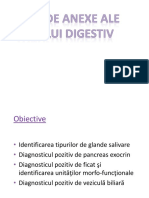 Glande Anexe PDF