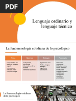Lenguaje Técnico y Lenguaje Ordinario