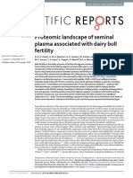 Proteomic Landscape of Seminal Plasma Associated With Dairy Bull Fertility
