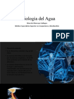 Fisiología Del Agua