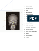 radioanatomia de craneo.pdf