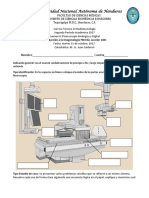 examen del fluroscopia.pdf