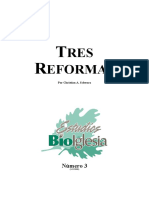 3 Christian A. Schwarz - Tres Reformas PDF