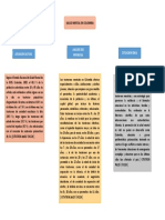 Diagrama Salud Mental