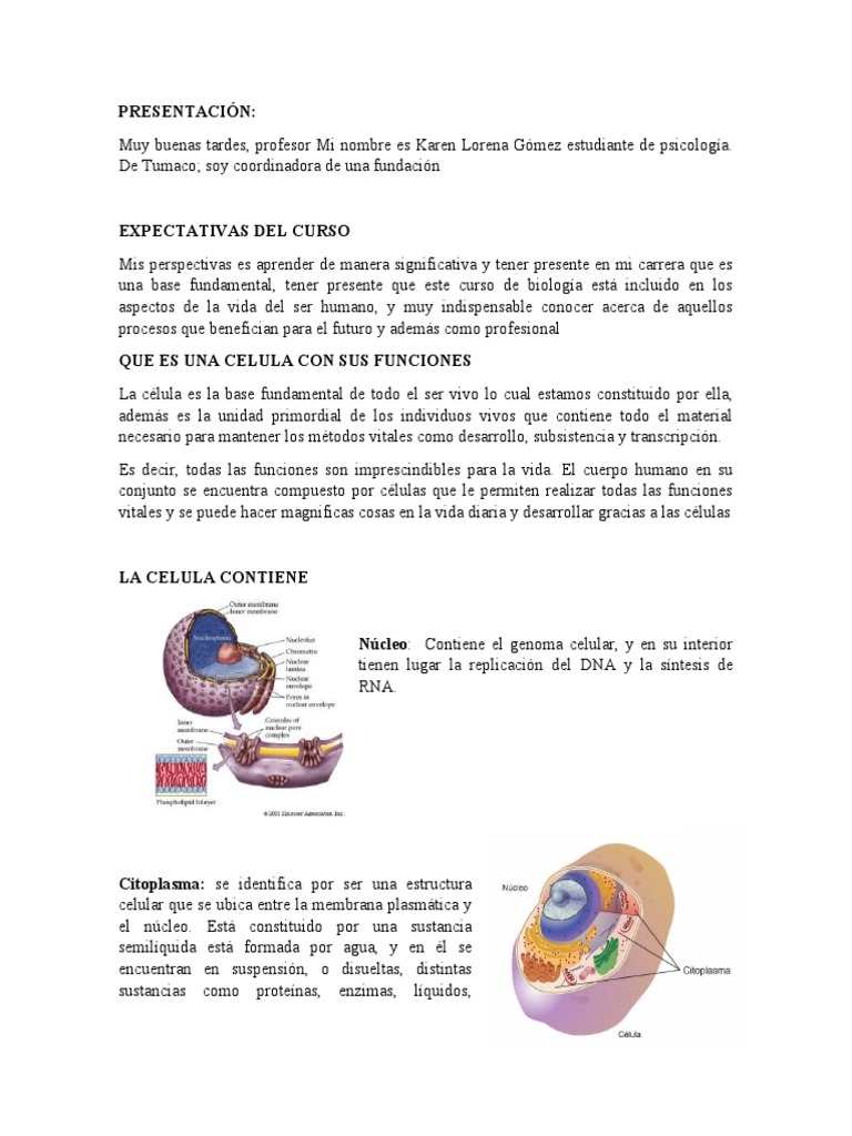 Estructura y Tipos de Células | PDF | Citoplasma | Biología Celular)