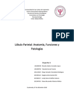 Lóbulo Parietal - Neuropsicología PDF