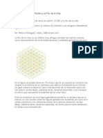 La Relación Entre El Tzolkin y La Flor de La Vida