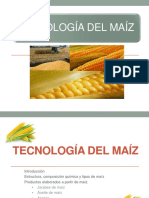 2 4 Tecnologia Del Maiz PDF