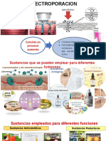 EXPOSICION ELECTROPORACION (Autoguardado)