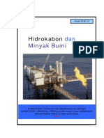 13 Hidrokarbon Dan Minyak Bumi PDF