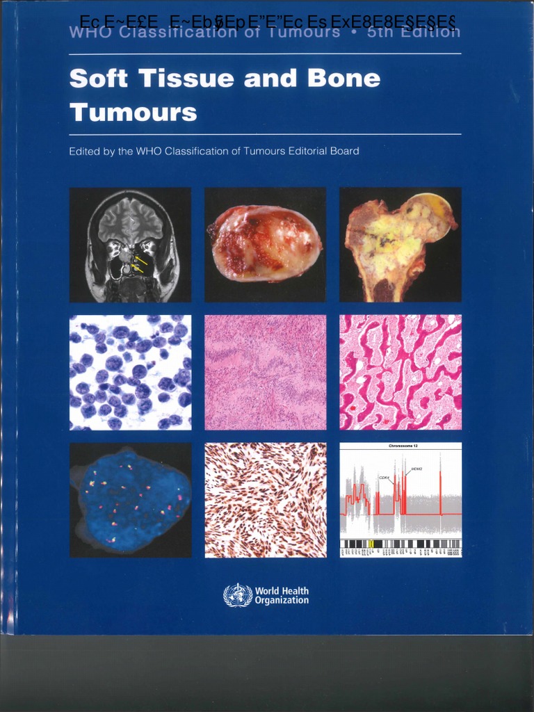 2020 WHO Classification of Soft Tissue and Bone Tumours