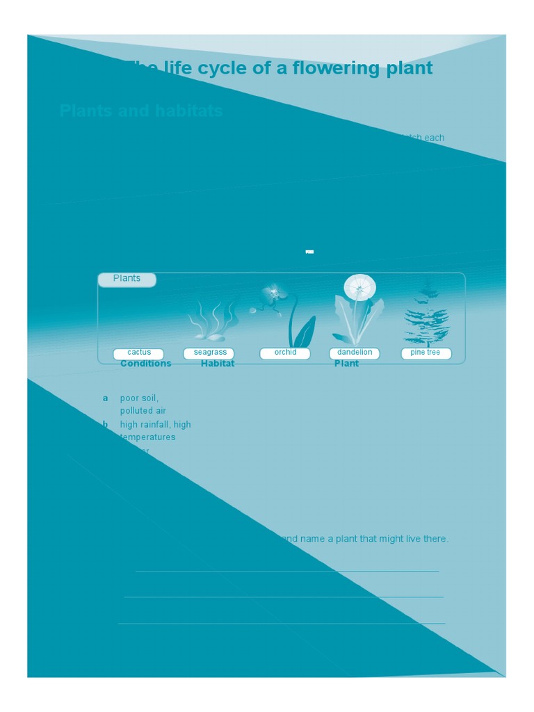 Science 5 Plants PDF
