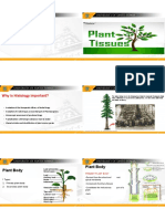 Botany Tissues PDF