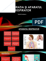 Presentation 25 PDF