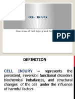 Cell Injury 2018