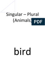 Flash Cards - Singular - Plural (Animals)