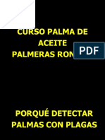 4 - PLagas de La Palma